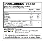 Gut Immunity Powder